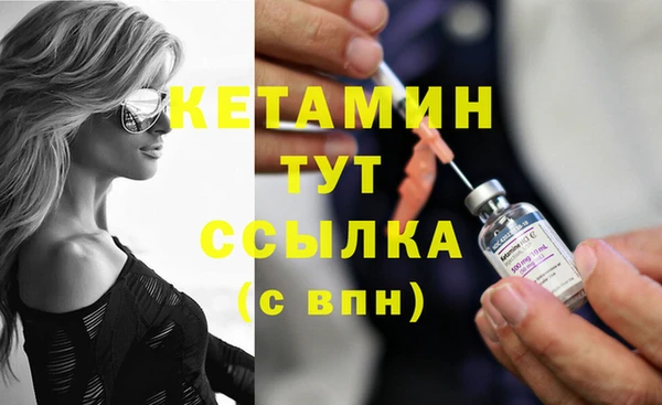 сатива Верея