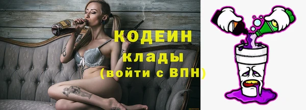 сатива Верея