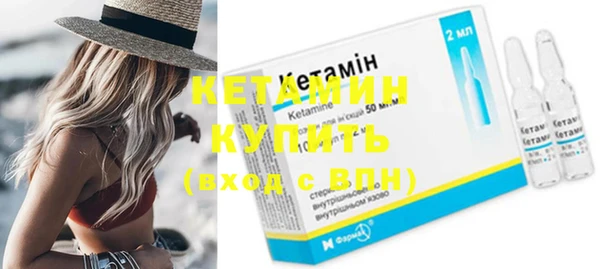 сатива Верея