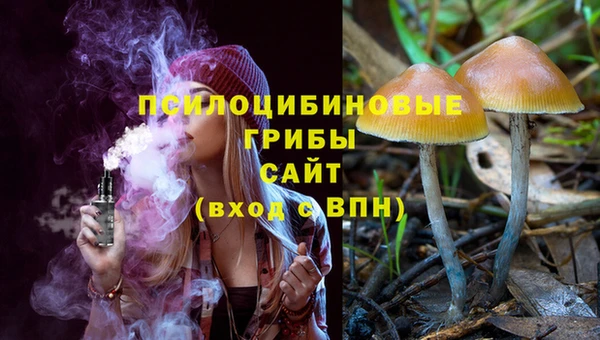 мет Бородино