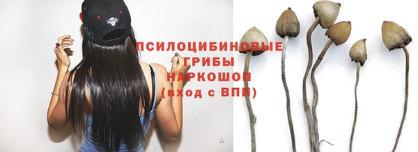ПСИЛОЦИБИНОВЫЕ ГРИБЫ Богородицк