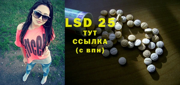 сатива Верея