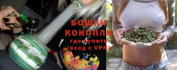 сатива Верея
