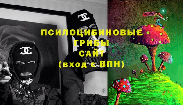 сатива Верея