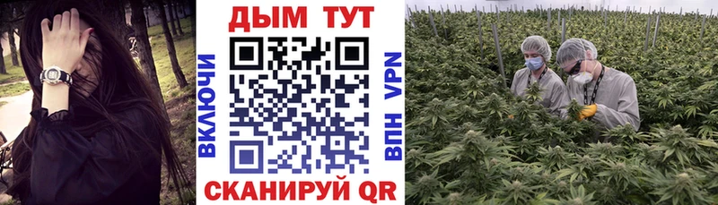 Каннабис индика  Губкин 